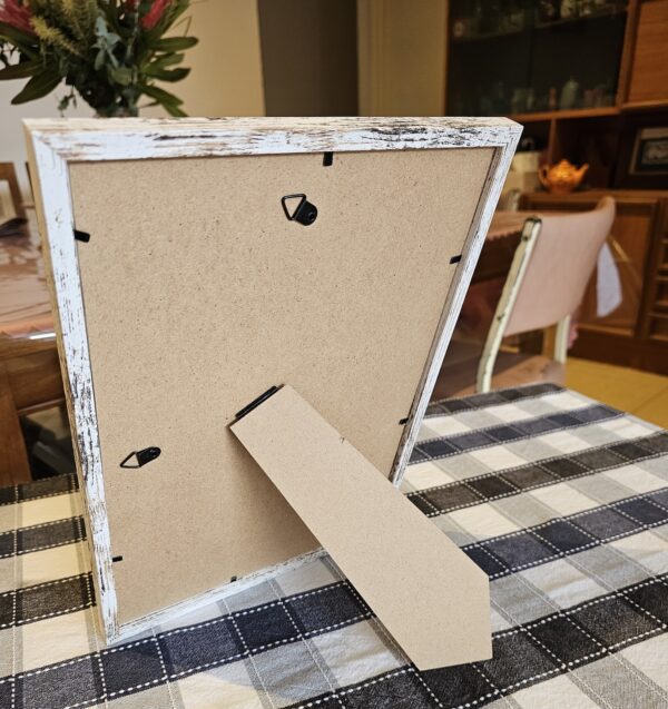 back of frame-kitten